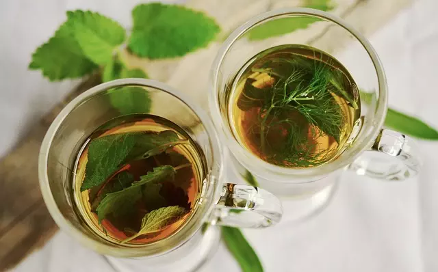 Mint Flavored CBD Tincture