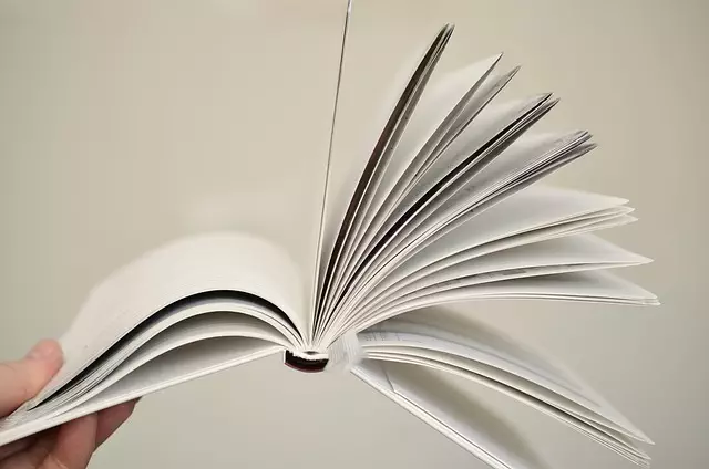 On-Page Optimization Training