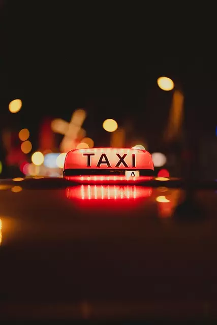 Organic Traffic