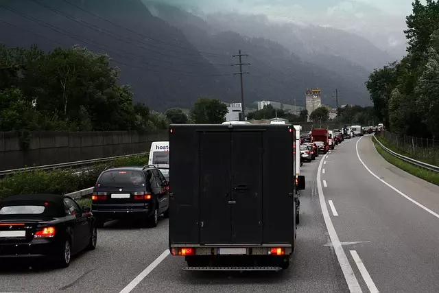 Organic Traffic