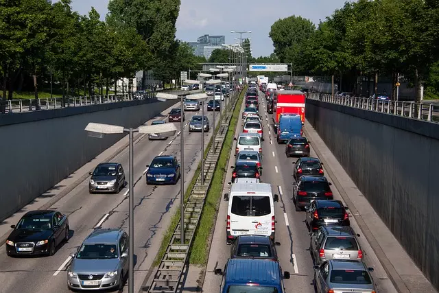 Organic Traffic