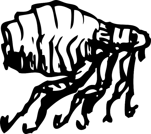 pest exterminator