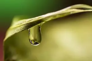 pure-cbd-isolate-640x480-14651064.jpeg