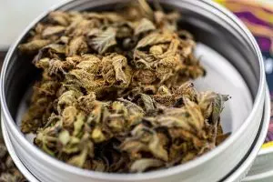 pure-cbd-isolate-640x480-56029412.jpeg