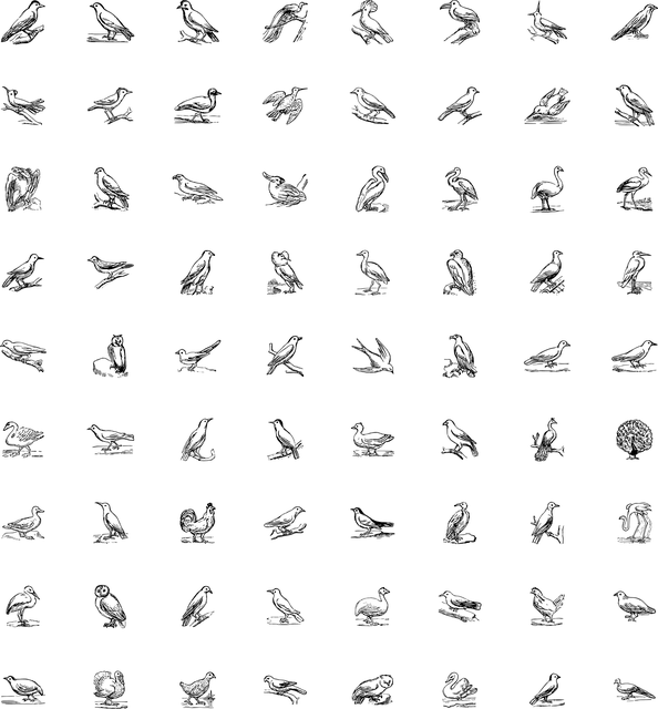 remove-stains-from-grout-lines-640x480-37691797.png