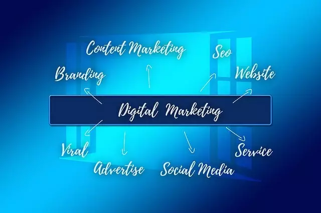 Small Business SEO Training