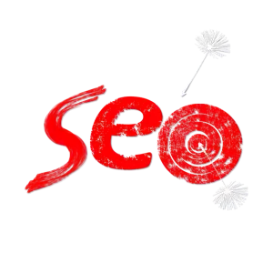 small-business-seo-training-640x480-55556161.png