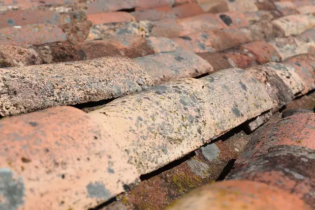 Stem Wall Repair: Leveling Home Foundations for Stability