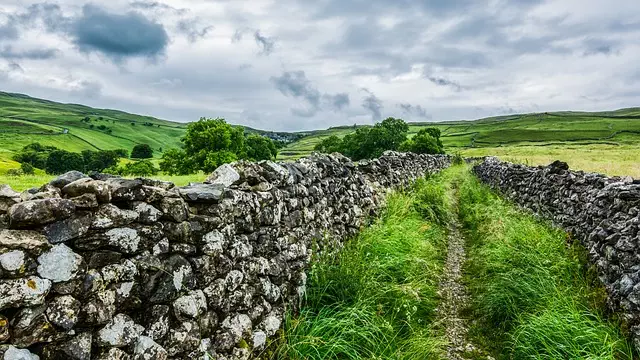 Stem Wall Repair