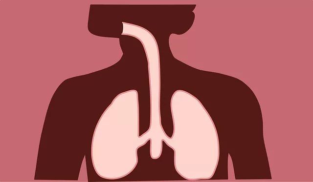 Understanding the Endocannabinoid System