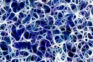 understanding-the-endocannabinoid-system-640x480-75333566.jpeg