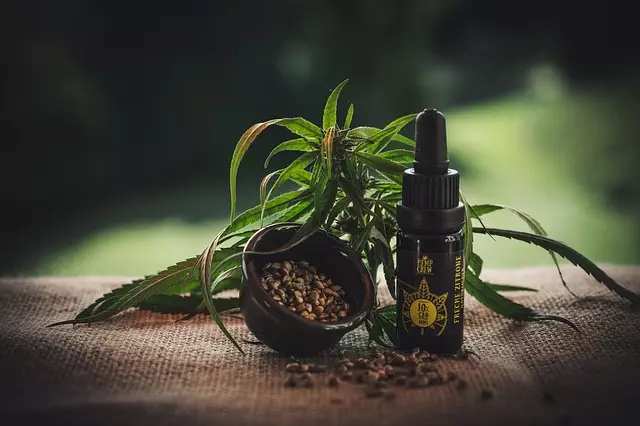Best CBD Edibles