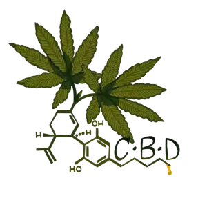 best-cbd-edibles-640x480-46799260.png