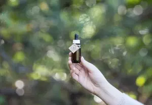 best-cbd-edibles-640x480-48400012.jpeg