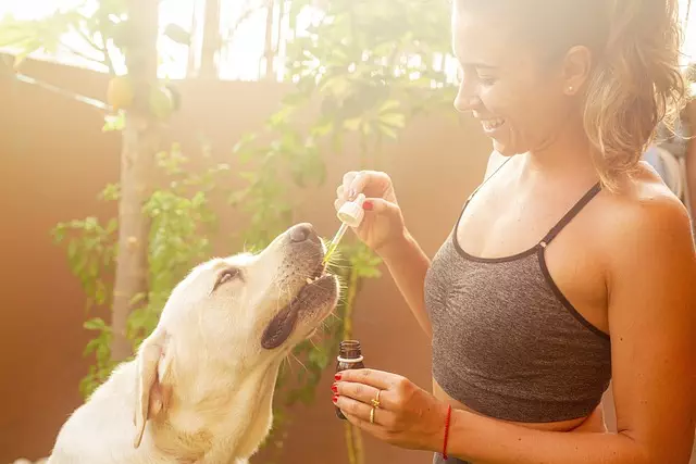 CBD Pain Relief Cream