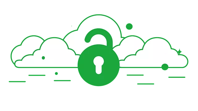 Cyber Insurance for Data Protection