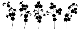 delta-8-thc-near-me-640x480-25663974.png