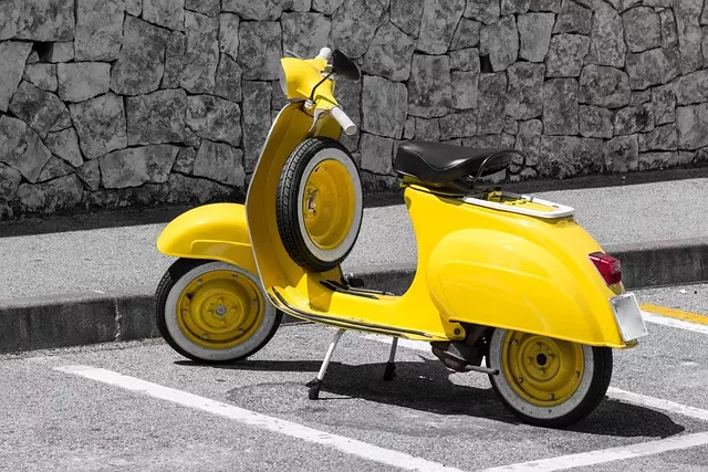 electric scooters for adults