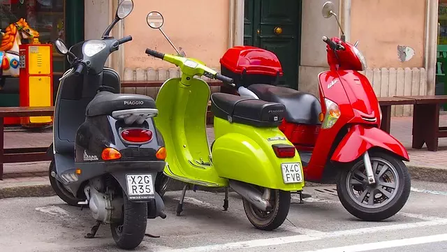 electric scooters for adults