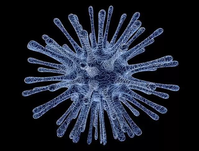 fat-cell-freezing-640x480-11193361.jpeg