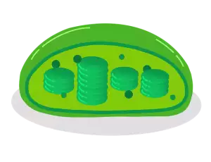 fat-cell-freezing-640x480-22550888.png