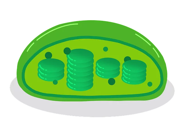 fat-cell-freezing-640x480-22550888.png