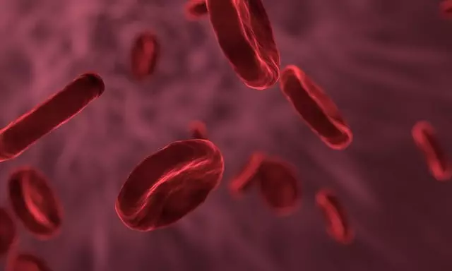 Fat Cell Freezing