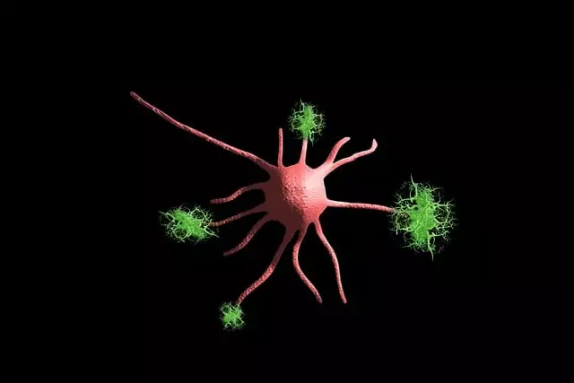 Freeze Fat Cells