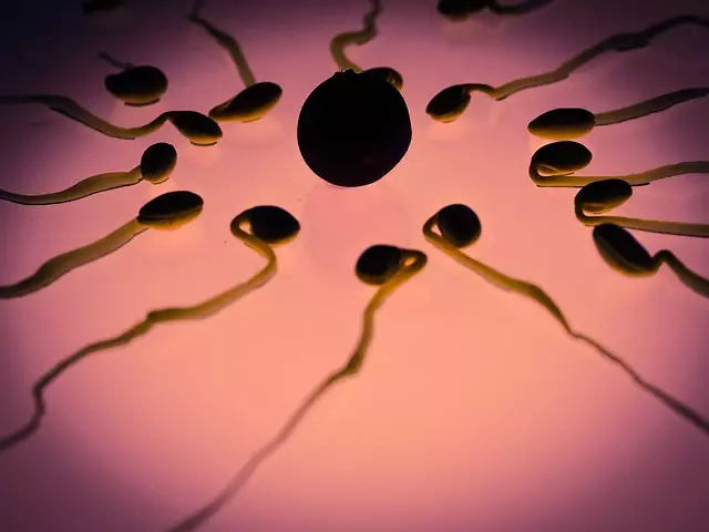 Freeze Fat Cells