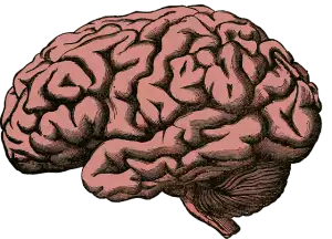 holistic-mental-health-640x480-622942.png
