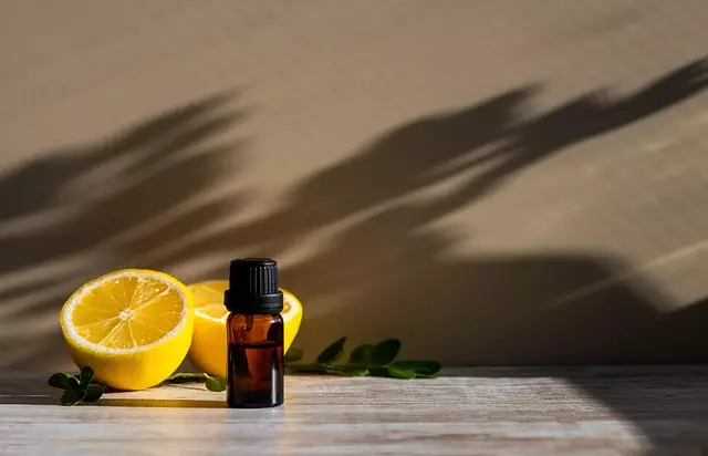 holistic mental health