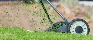 lawn-care-640x480-81678639.jpeg