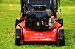 lawn-care-640x480-96991748.jpeg