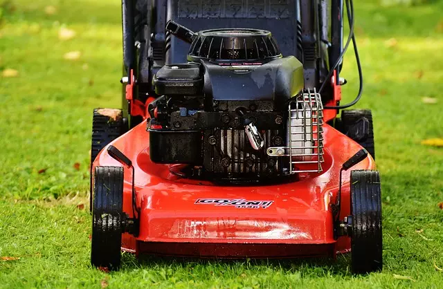 lawn-care-640x480-96991748.jpeg