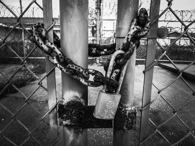 Link Building