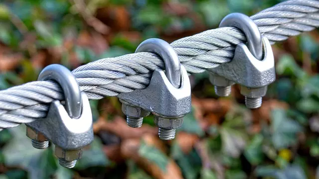 Link Building