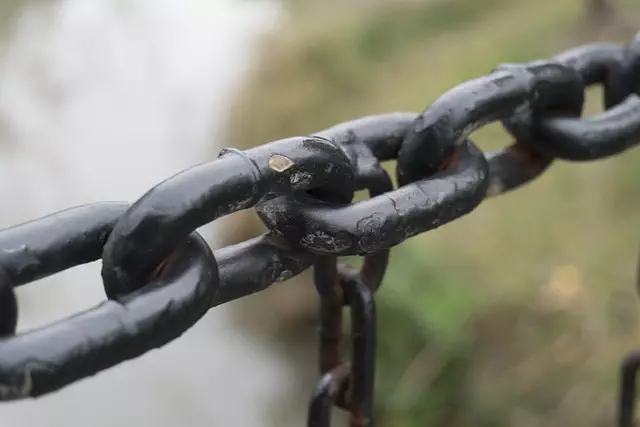 Link Building