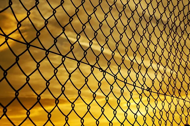 Link Building