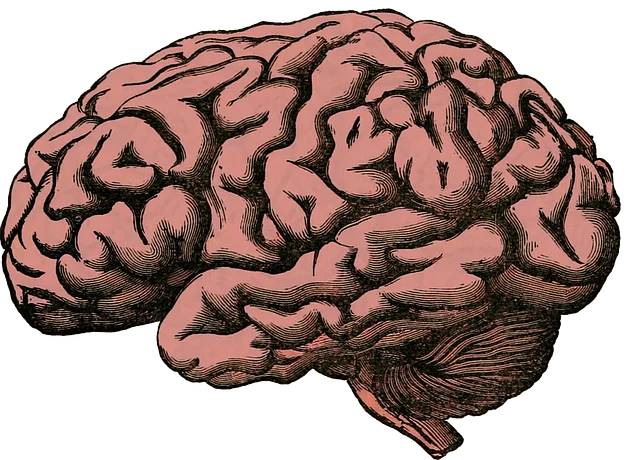 mental health counseling