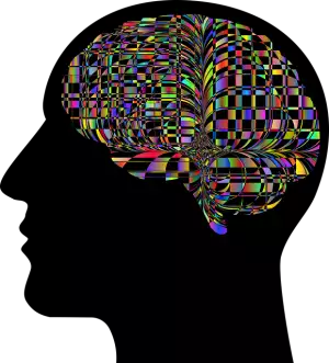 mental-health-psychotherapy-640x480-9980042.png