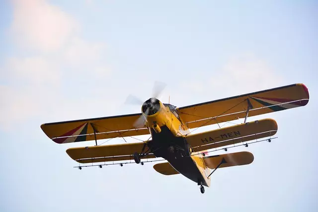 Mosquito Control