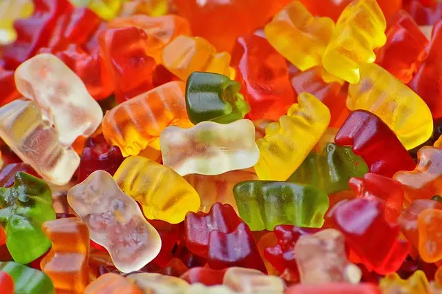 Mushroom Gummies for Focus
