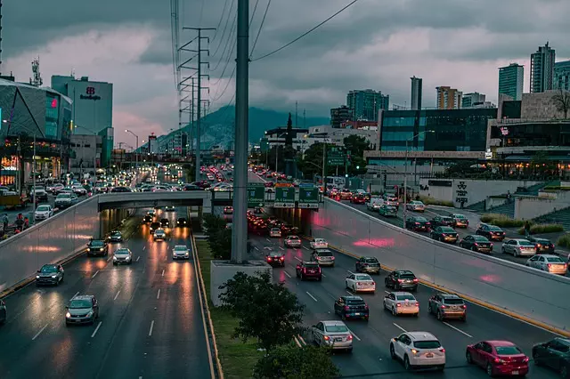 Organic Traffic