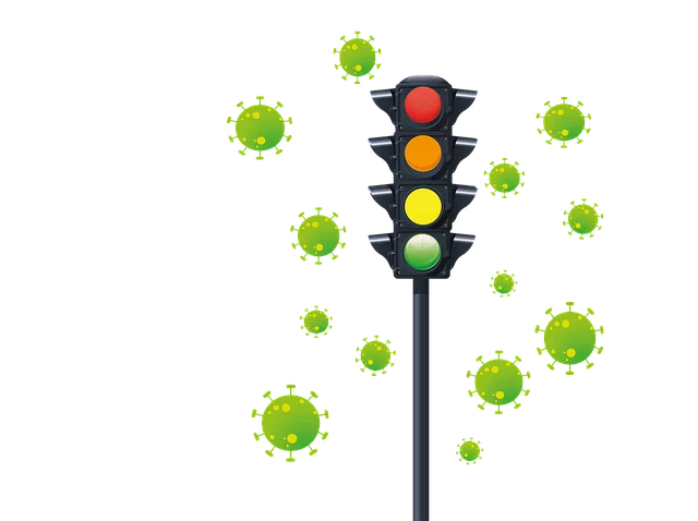 Organic Traffic