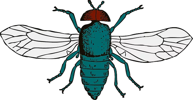 pest exterminator