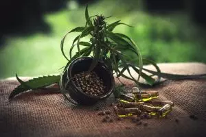 pure-cbd-isolate-640x480-90360017.jpeg