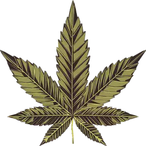 pure-cbd-isolate-640x480-98307612.png