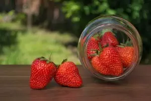 strawberry-rosin-gummies-640x480-49335338.jpeg