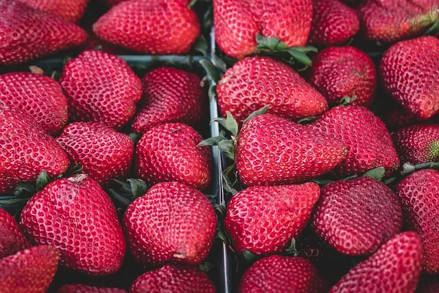 Strawberry Rosin Gummies