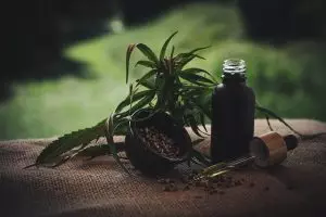 best-cbd-edibles-640x480-17693509.jpeg